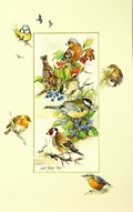 Oiseaux des jardins