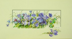 iris