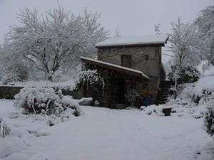 Cabane